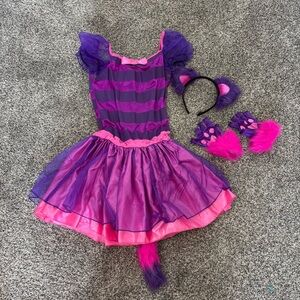 🍁50% Off Sale 🍁 Alice and Wonderland Cat Costume
